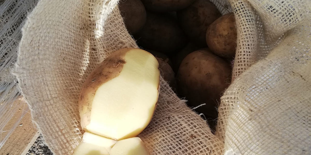  «Patate, ragioniamo sui prezzi: sono davvero troppo alti?»